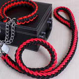 Big Dog Plaited Leash And Collar Set
