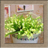 40 Seeds per Pack - Lily of the Valley